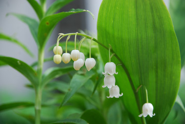 Similar image 21942952