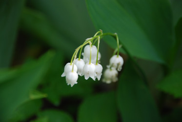 Similar image 21942953