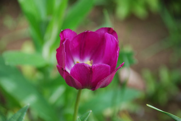 Similar image 21942954