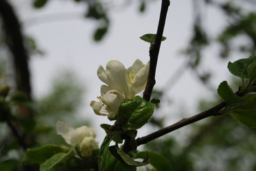 Similar image 21943055