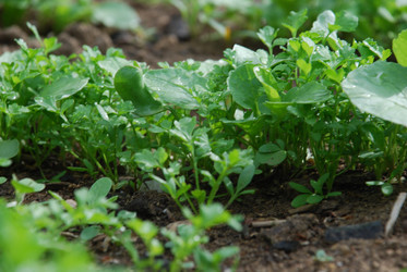 Similar image 21943059