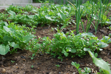 Similar image 21943060