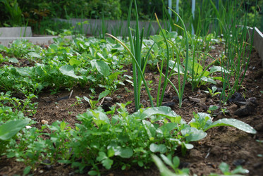 Similar image 21943061