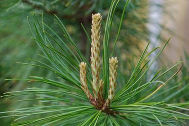 Similar image 21943062