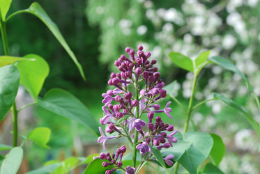 Similar image 21943064