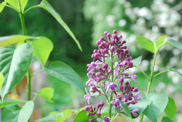 Similar image 21943065