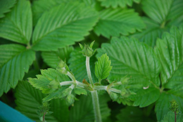 Similar image 21943067