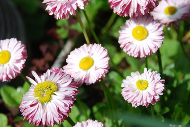 Similar image 21943068