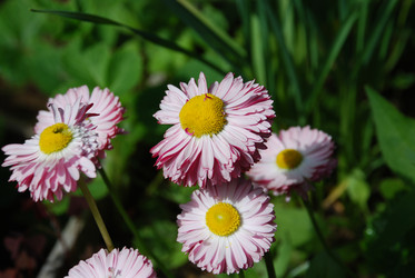 Similar image 21943069