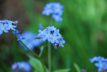 Similar image 21943070