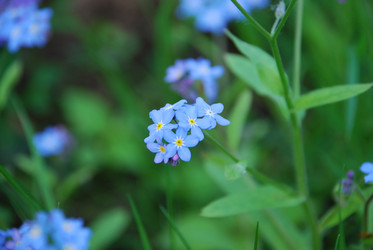 Similar image 21943072