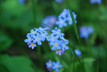 Similar image 21943073