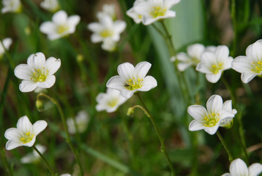 Similar image 21943075