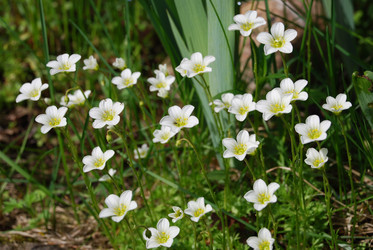 Similar image 21943076