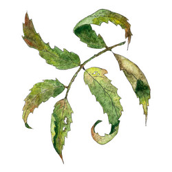 Similar image 21939935