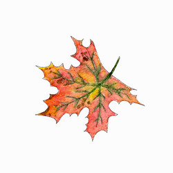 Similar image 21939936