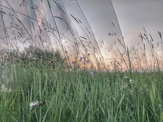 Similar image 21939405