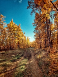 Similar image 21939407