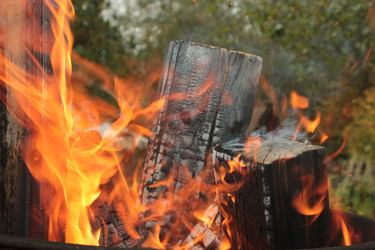 Similar image 21939408