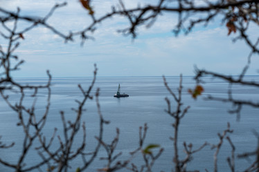 Similar image 21939820