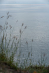 Similar image 21939821