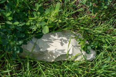 Similar image 21939823