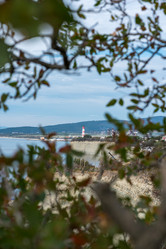 Similar image 21939824