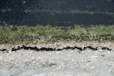 Similar image 21939829