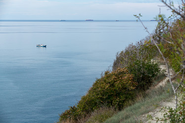 Similar image 21939830