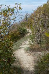 Similar image 21939831