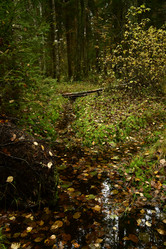 Similar image 21945806