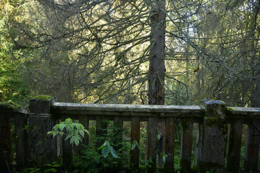 Similar image 21945808