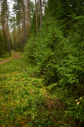 Similar image 21945809