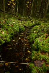 Similar image 21945812