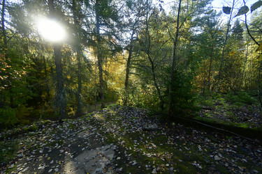 Similar image 21945814