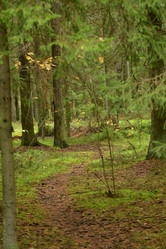 Similar image 21945815