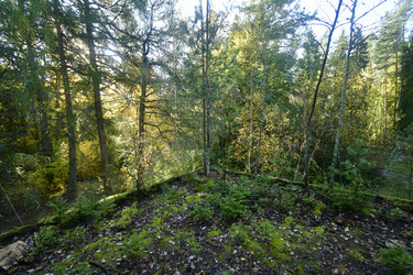 Similar image 21945817