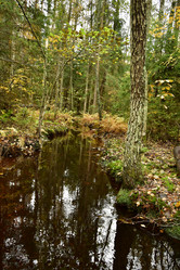 Similar image 21945818