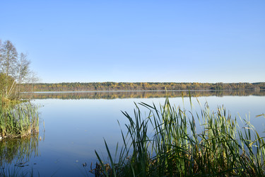 Similar image 21945827