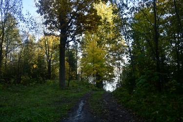 Similar image 21945829