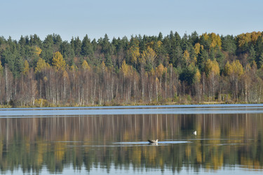 Similar image 21945831