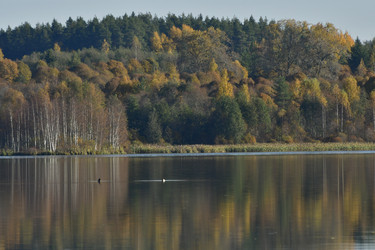 Similar image 21945833