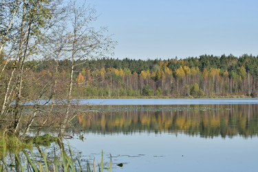 Similar image 21945835