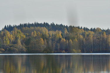 Similar image 21945839