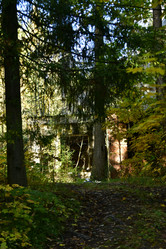 Similar image 21945841