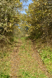 Similar image 21945842