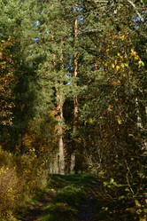 Similar image 21945844