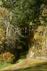 Similar image 21945846