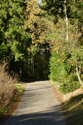 Similar image 21945848