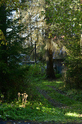 Similar image 21945850